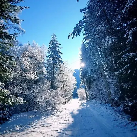 Hébergement de vacances Byala Luna - Bistriza