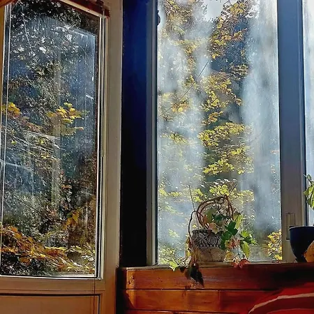 Byala Luna - Bistriza