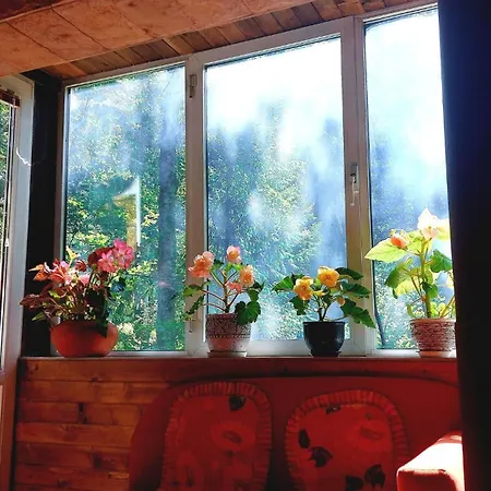 Hébergement de vacances Byala Luna - Bistriza