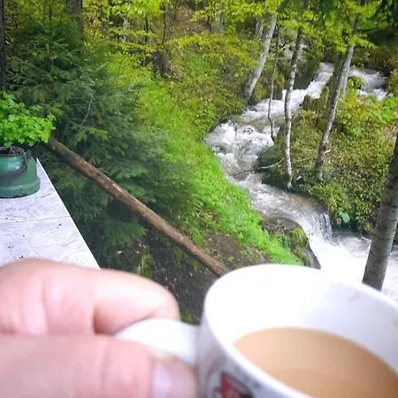 Hébergement de vacances Byala Luna - Bistriza