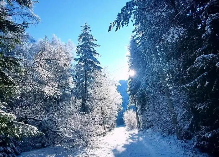 Prázdninový dům Byala Luna - Bistriza