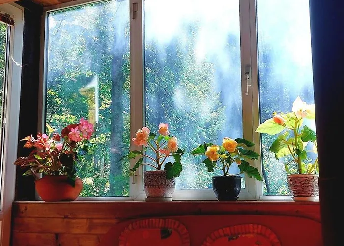 Casa vacanze Byala Luna - Bistriza