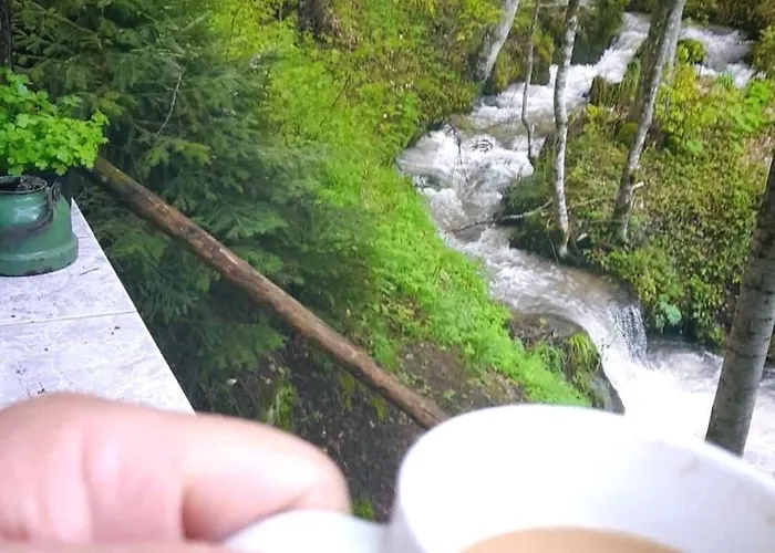 Prázdninový dům Byala Luna - Bistriza